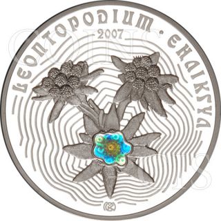 Kazakhstan 2007 500 Tenge Edelweiss Flora Of Kazakhstan Proof Silver Coin photo
