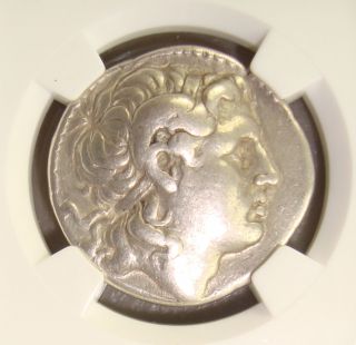 305 - 281 Bc Lysimachus Ancient Greek Silver Tetradrachm Ngc Choice F 5/5 4/5 photo