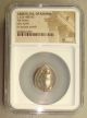 525 - 480 Bc Saronic Islands,  Aegina Sea Turtle Ancient Greek Silver Stater Ngc F Coins: Ancient photo 2