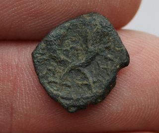 Ancient Petra Coin,  King Aretas Iv,  9 Bc - 40 Ad,  Ancient Nabataean Kingdom photo