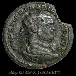 Florian Scarce Ruled Only 88 Days / Providentia Ancient Roman Coin Antoninianus photo
