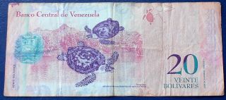 2007 Bank Of Venezuela 20 Bolivares Banknote P 91 Sea Turtles M218 photo