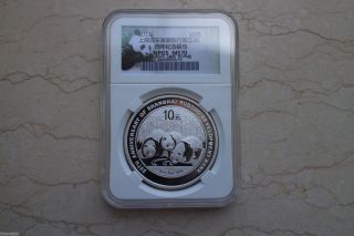 Npgs 70 China 2013 Silver 1 Oz Panda Coin - 20th Anniv.  Of Pudong Bank photo