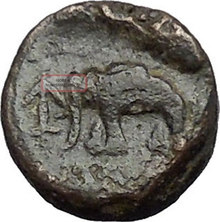 Antiochos Iii The Great 223bc Rare Ancient Greek Coin Elephant I49738 Coins: Ancient photo