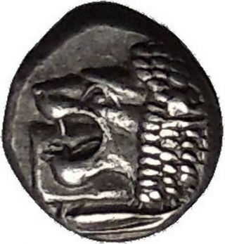 Miletos In Ionia 525bc Archaic Ancient Silver Greek Coin Lion Star I56265 photo