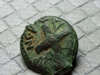 Bronze Antonius Felix Under Claudius Ancient Jewish Prutah Coin 276 photo