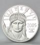 2005 - W 1 Oz Platinum American Eagle Proof Uncirculated (coin Only) Platinum photo 2