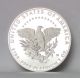 2005 - W 1 Oz Platinum American Eagle Proof Uncirculated (coin Only) Platinum photo 3