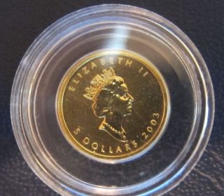 2003 Canadian Gold Maple Leaf 1/10 Oz.  Coin.  999 Only 26,  940 Minted Unc. photo