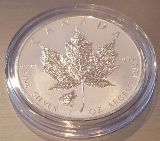 2016 Canada 1oz Reverse Proof Silver Maple Leaf Timber Wolf Privy No Spots photo