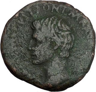 Augustus 7bc P Lurius Agrippa Moneyer Authentic Ancient Roman Coin I42201 photo