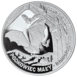 Poland 2010 20 Zl Lesser Horseshoe Bat Proof Silver Coin photo