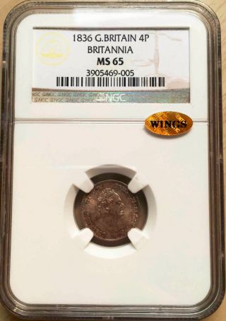 Great Britain 1836 William Iv Groat/fourpence Ngc Ms65 Choice Unc Wings Approved photo