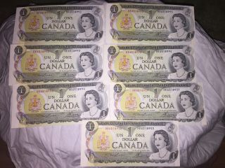5 & 2 Consecutive Canada 1 Dollar P85a 1973 Young Queen Crisp 7 Total photo