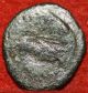 Ancient Roman Caraustius S/h Coins: Ancient photo 1