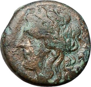 Tauromenion Sicily 275bc Apollo & Tripod Ancient Greek Coin I24846 photo