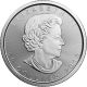 1 Oz 2016 Canadian Maple Leaf Platinum Coin Platinum photo 1