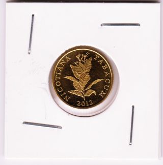10 Lipa 2012 - Croatian Coin - Brass Plated Steel - Nicotiana Tabacum photo