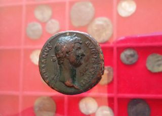 Agn - Roman Empire Hadrian (117 - 138 Ad) – Ae As Salus On R/ - 10.  41 Gr photo