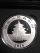 Panda In The Nature: 2016 30g Chinese Silver Panda Colored Coin: No.  41 Of 100 China photo 3