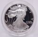 2006 - W Silver American Eagle 1 Oz.  999 Proof Coin W/ Box & Coins photo 1