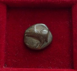 Argolis,  Argos Ar Triobol 490 Bc Early Coin Wolf / Incuse photo