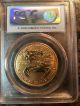 2006 - W $50 First Strike 20th Anniversary Reverse Proof Gold Eagle Pcgs Pr70 Coins photo 1