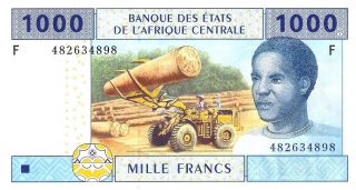 Central African States (equatorial Guinea) 1000 Francs 2002 - Unc photo