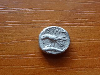 Istros,  Thrace Ar Silver Diobol 400 Bc Gemini Dioscuri Twins Ancient Greek Coin photo