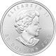 1 Oz 2015 Canadian Maple Leaf Palladium Coin Bullion photo 1