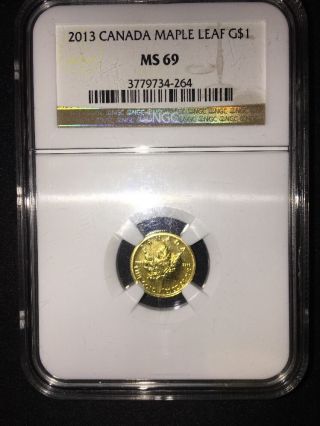 2013 Ms - 69 Maple Leaf,  Canada,  1/20 Ounce,  9999 Gold Coin Ngc Brown Label photo