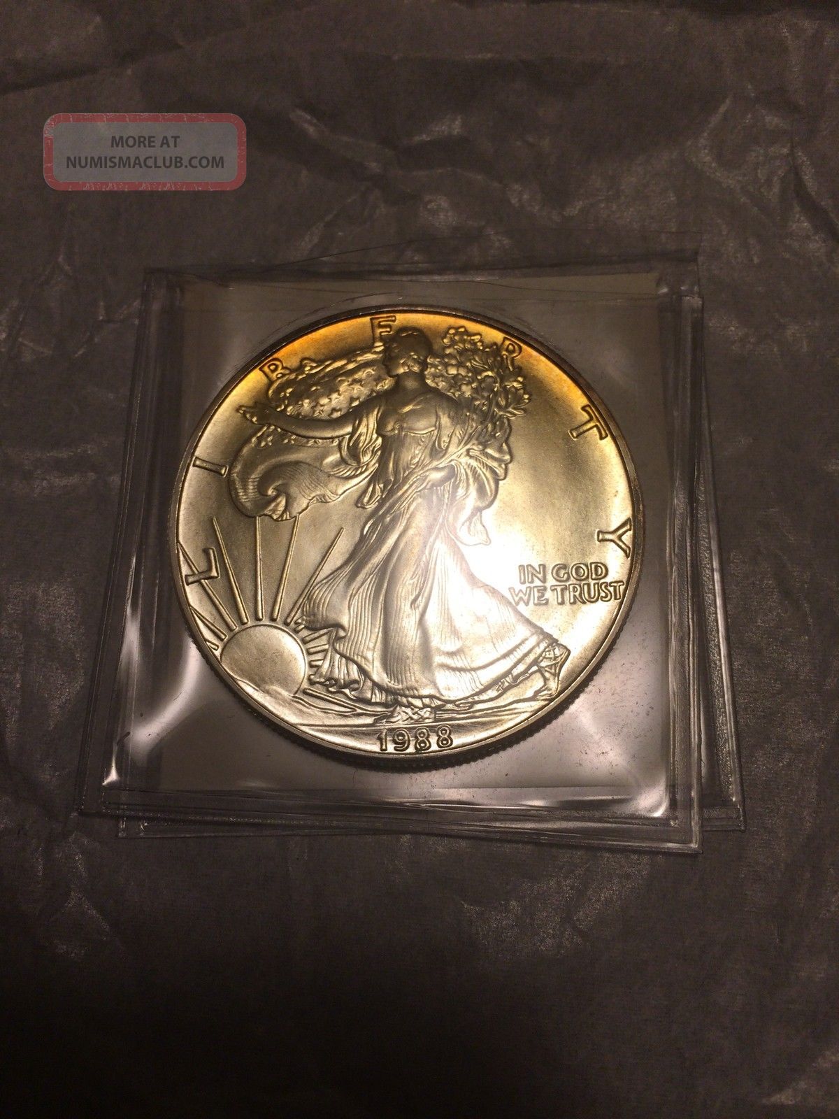 1988 American Silver Eagle Dollar Coin One Ounce.  999 Silver 1 Silver photo