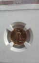 2006 - W 1/10 Oz Burnished Gold American Eagle Ms - 70 Ngc Coins photo 2