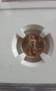 2006 - W 1/10 Oz Burnished Gold American Eagle Ms - 70 Ngc Coins photo 4
