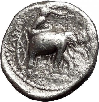 Seleukos I 312bc Seleukid Tetradrachm Elephants Ancient Silver Greek Coin I55309 photo