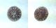 Petru I Musat (1375 - 1391) Ad,  Medieval Romania Moldova Gros Coins: Medieval photo 2