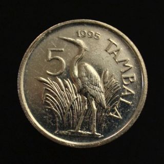 Malawi 5 Tambala.  Km32.  1.  Unc.  Africa Coin.  Animals (fauna).  Birds.  Herons. photo