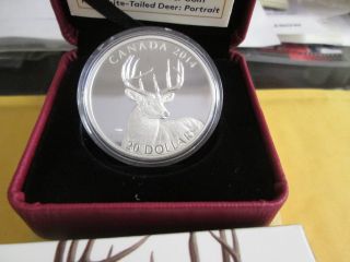 2014 Canadian White - Tailed Deer Portrait 1 Oz.  9999 Fine Silver Coin photo