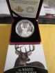 2014 Canadian White - Tailed Deer Portrait 1 Oz.  9999 Fine Silver Coin Coins: Canada photo 1