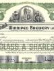 Shea ' S Winnipeg Brewery Ltd.  Canada,  - 100 Glass A Shares 1926 Stock Certificate Stocks & Bonds, Scripophily photo 1