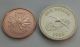 Bermuda 1 Dollar 1983.  Km 30.  One Pound Coin.  Flying Bird.  Elizabeth Ii North & Central America photo 4