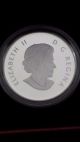 2012 $10 Canada War Of 1812 H.  M.  S.  Shannon Coins: Canada photo 2