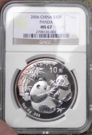 2006 Panda Silver 10 Yuan Coin From China Graded Ms67 By Ngc Hint Of Purple Obv photo