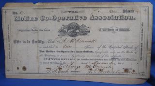 Moline Cooperative Assn Il Capital Stock Certificate Signed Mcdermatt Cook 1881 photo