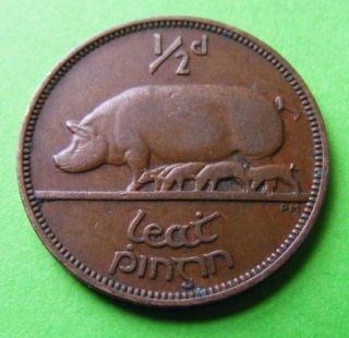 1953 Irish Half Penny Coin - Only Halfpenny Made In The 1950 ' S - Ireland - Pig photo