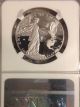 2015 W Platinum Eagle $100 Ngc Pf 69 Early Release Platinum photo 1