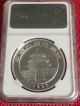 1996 Silver 1oz China S10y Panda Ngc Ms69 - Small Date - Ms 69 Ncs Conserved China photo 1