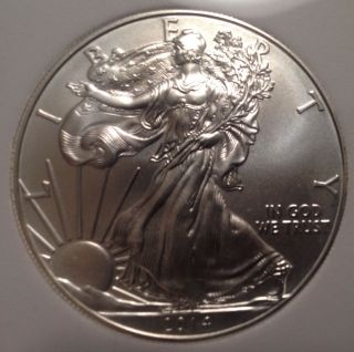 2014 Bu $1 1oz Silver American Eagle Slabbed (from Tube) photo