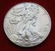 2013 Silver Dollar Coin 1 Troy Oz American Eagle Walking Liberty.  999 Fine Silver photo 2