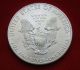 2013 Silver Dollar Coin 1 Troy Oz American Eagle Walking Liberty.  999 Fine Silver photo 3